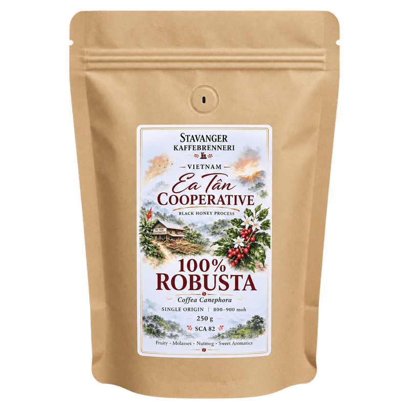 Vietnam Speciality Robusta